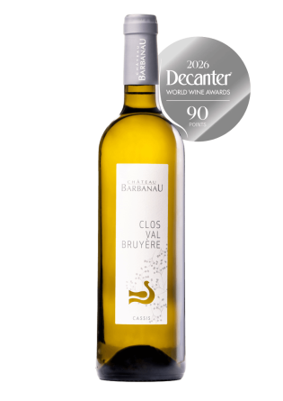 Bouteille Clos Val Bruyere Decanter silver